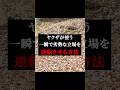 ㊗️80万再生突破!!立場を一言で逆転する方法を知っていますか?#人間関係 #心理学 #仕事#恋愛