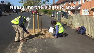 Tree survey pair