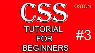 CSS TUTORIAL - For Beginners #3