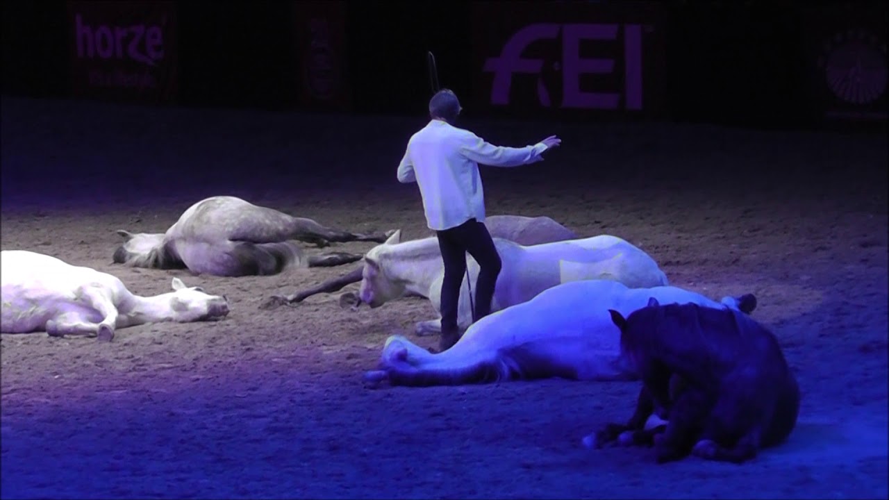 Suttogók 2018 - Pignon 2/2