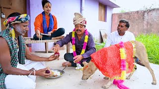 ढ़ोल ढ़ोल अउ कुकुर के अलकरहा बिहाव / cg comedy / Chhattisgarhi comedy / dhol dhol funny video / RKJ