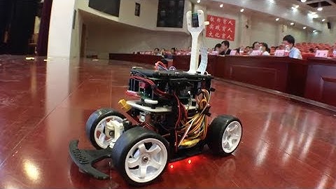 Low-Cost Autonomous Car is Inspired by Insects