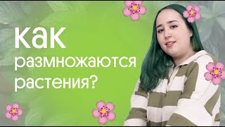 🥑 КАК РАЗМНОЖАЮТСЯ РАСТЕНИЯ? 🥑