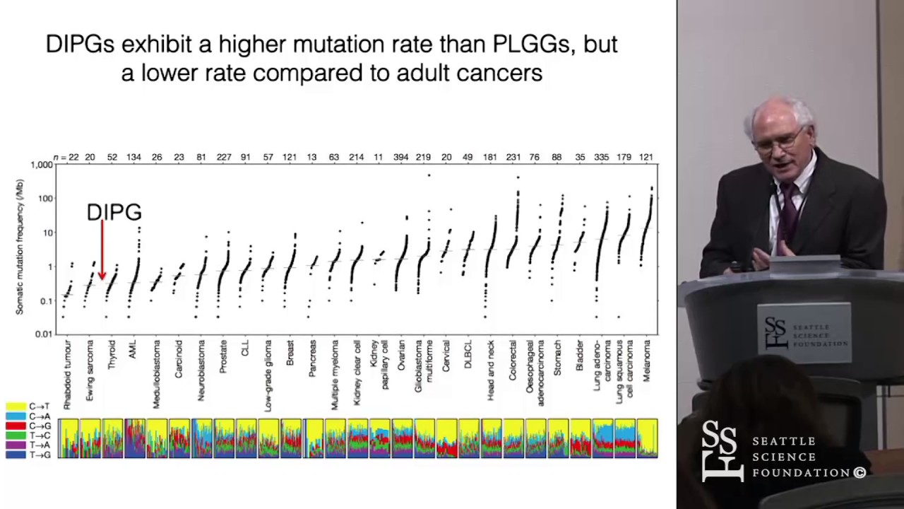 Brain Stem Glioma: Therapeutic Strategies For An Incurable Cancer - Michael Prados, M.D.