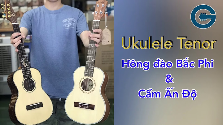 So sánh ukulele concert và tenor năm 2024