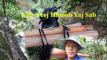 Mus Yos Ntoo Kaw Thiab Txiav Tsawb Pub Os Nawb Tsoom Phooj Ywg