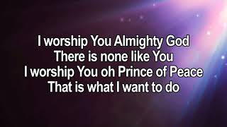 Video thumbnail of "I Worship You Almighty God"