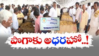 పొగాకు గిట్టుబాటుతో రైతుల్లో హర్షం | Good Rate to Tobacco | Prakasham Farmers Express Happiness