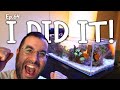The final stage of a REEF AQUARIUM | Ep.64