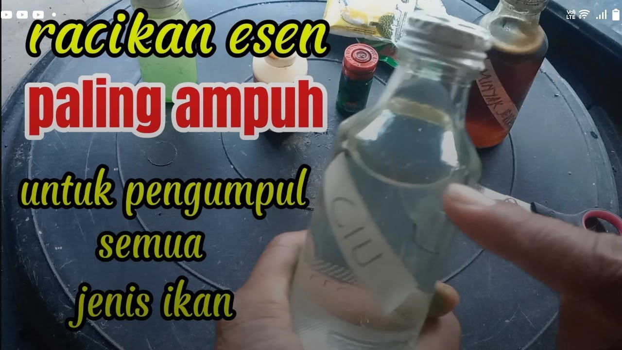 racikan esen PALING AMPUH untuk bom/pengumpul semua jenis ikan