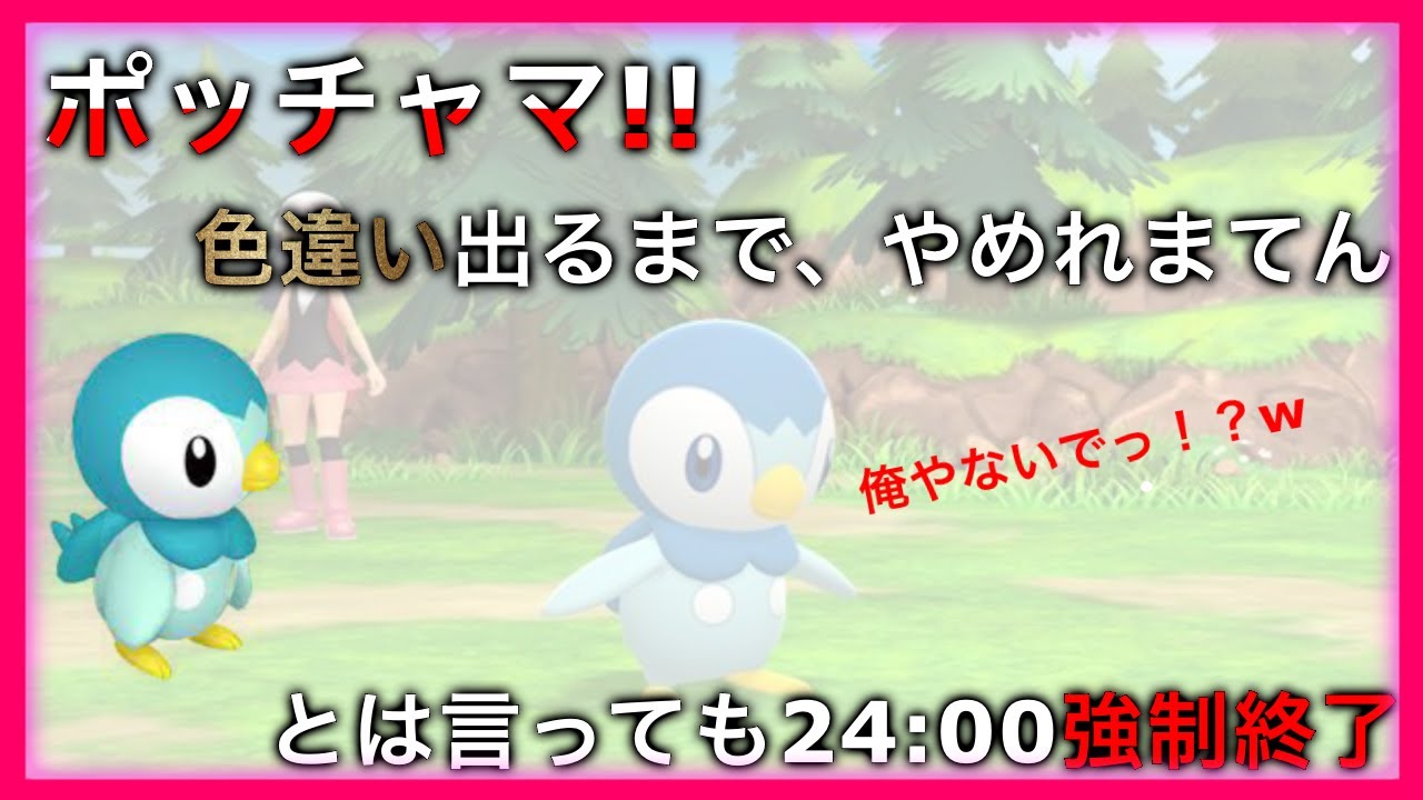 ポケモンbdsp ポッチャマ色違い出るまで耐久 Youtube
