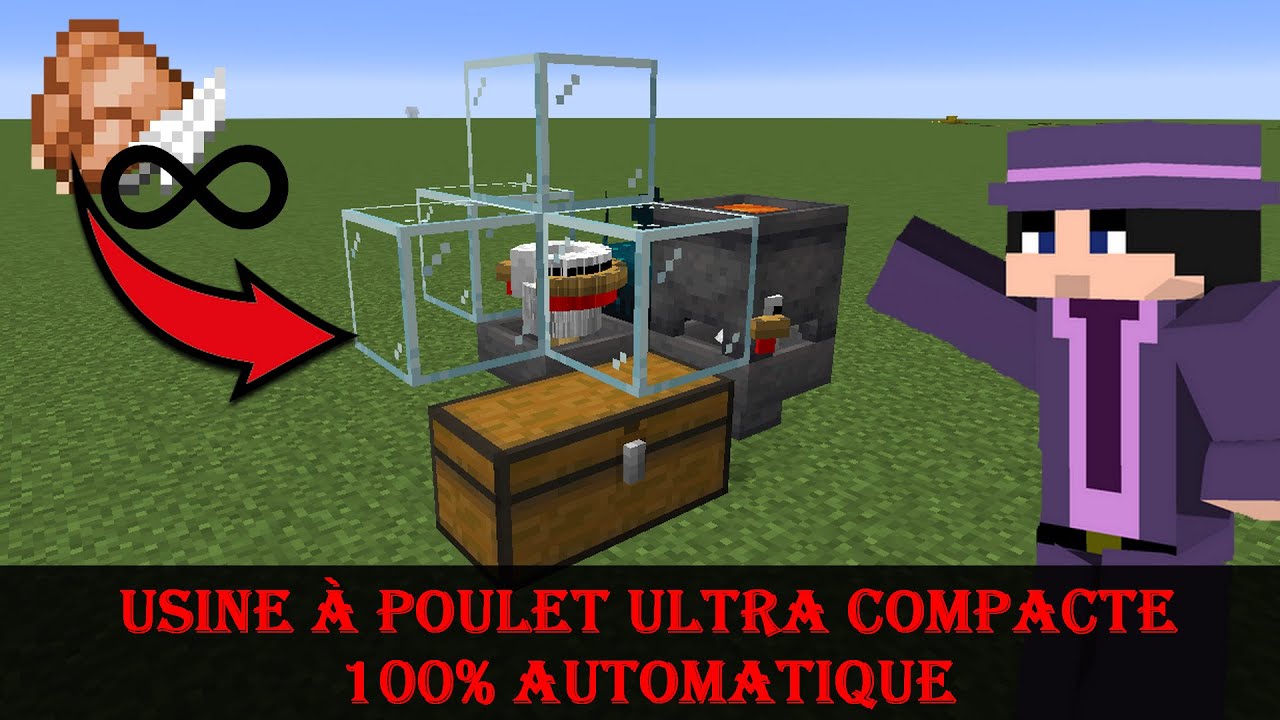 Comment faire une USINE À POULET ultra compacte et 100% automatique sur
