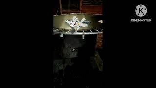 Raid Max Mata Cucarachas Y Arañas Sin Olor