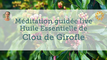 Quelle huile essentielle pour soigner les gencives ?