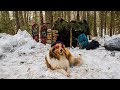 Overnight Camping at My Bushcraft Shelter in the Snow