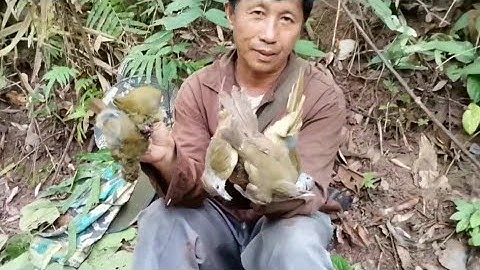 Cuab noog lom zem kawg