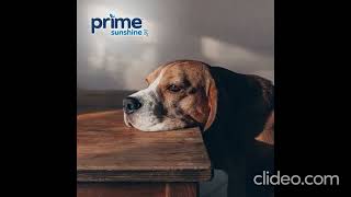 Prime CBD Gummies 300mg [Exposed 2023] MUST Check Truth Before Buying? Read Reviews