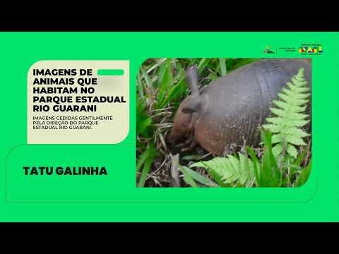 Três Barras do Paraná: seu novo destino!
