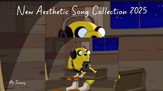 Nepali Aesthetic songs Collection❤️ 2025 that you may like it !🔥🍀 // IT'S MR TAMANG🤞