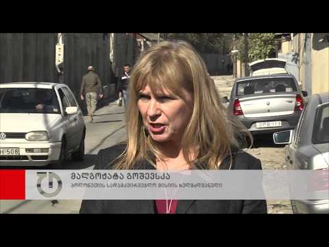 პოლონელი დეპუტატი მერაბიშვილთან