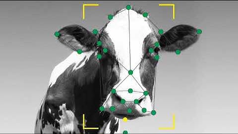 Agri Facial Recognition