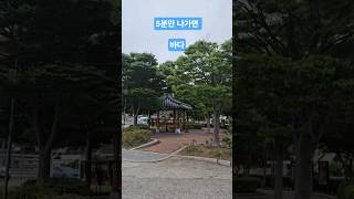 5분만 나가면 바다!!! 힐링하세요! 비오기전 바닷가. #여행 #바다 #낚시 #아름다운섬 #바닷바람 #3분힐링 #아름다운풍경
