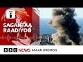 Ameerikaa Fi Israa El Irratti Balballi Si Ooli Banamuuf Jira Iraan BBC News Afaan Oromoo