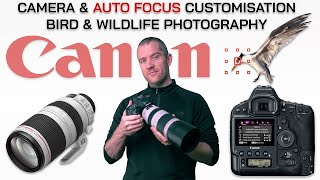 Maximise your hit-rate with Canon’s Auto Focus Customisation | Settings for Wildlife Photography