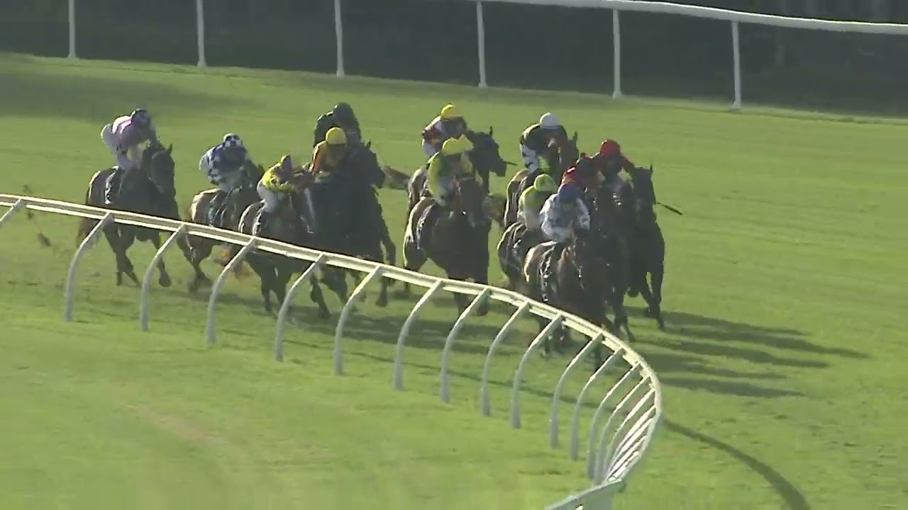 MONEY TRACK WINS THE MIDWAY CHAMPIONSHIP QUALIFIER