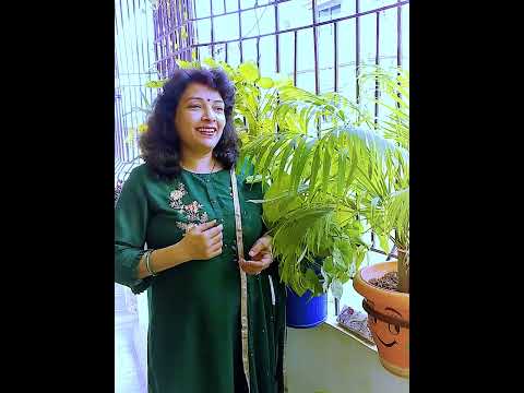 Dekho Sakhi Barsan Ko Aye Badra | Sawan Special | देखो सखी बरसन को आए  | Raag Desh | राग देश
