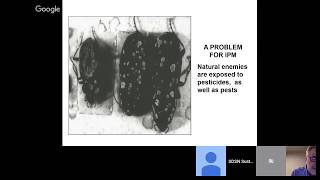 Fall armyworm monitoring and initial responses screenshot 4