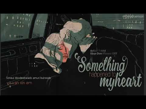 [VIETSUB] Something Happened To My Heart - TMAX | Boys Over Flowers OST