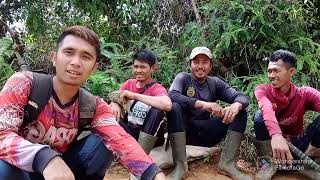 mencari rupiah di hutan gunung halimun salak