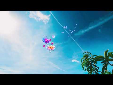 Reiki para Transcender Sentimentos, Crenças, Perspectivas E Conceitos Distorcidos🌙🎼💙