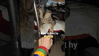 1 Raaz ki baat😻#shortsfeed#funny#cuteanimals#pets#ytshorts#trendingshorts#viral#dogshorts#diy#ai#cat