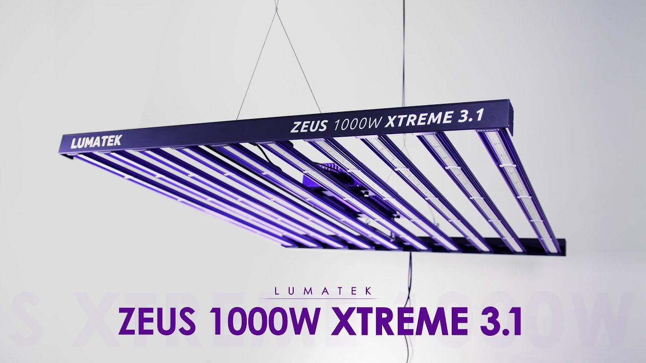 ZEUS 1000W XTREME 3.1 - Lumatek Lighting | Professional