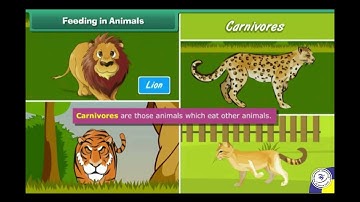 Class 5 | Science | Ch-2 Animal Lifestyles | Visual Video | Prepared under Nipun Nayyar
