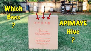 Which Bees Should I Put in my New APIMAYE Beehive Help me DECIDE!!!🤔🐝🙂