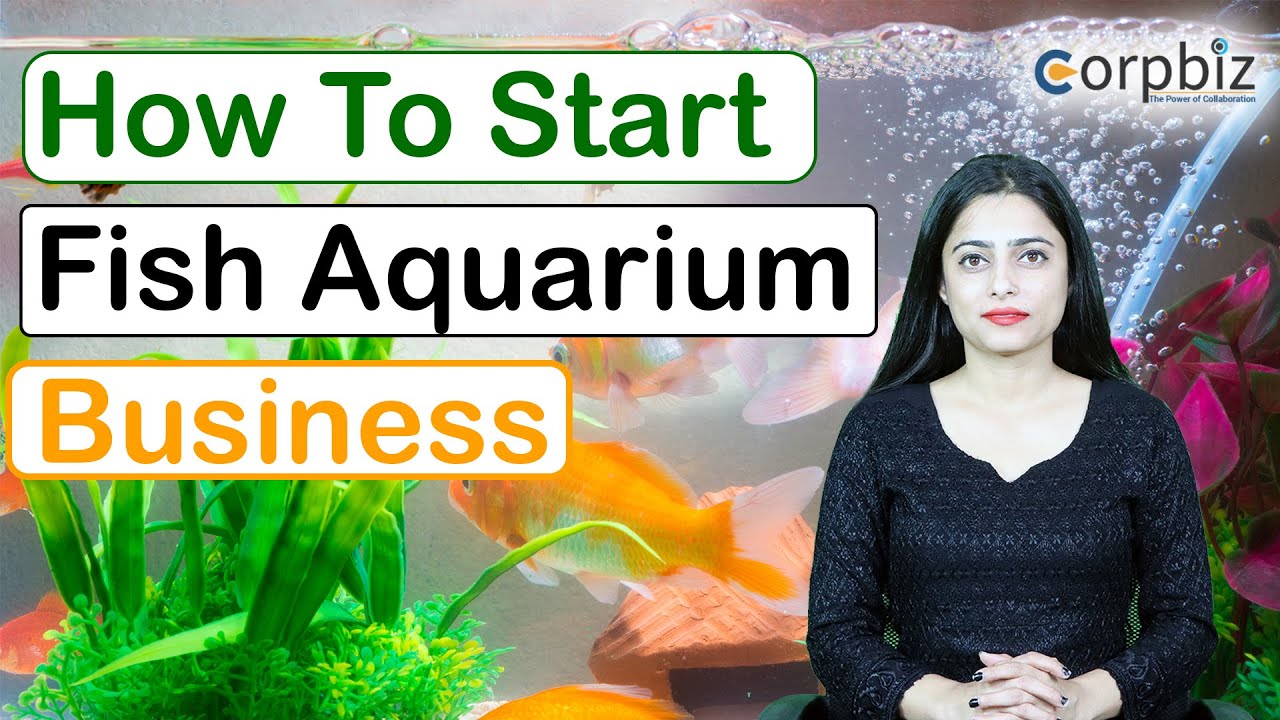 How to Start Fish Aquarium Business? Fish Shop Business Fish Aquarium Business Plan