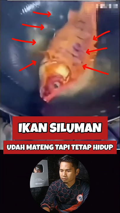 Ikan siluman Udah di goreng tapi tetep masih hidup #fishing #memancing #shorts