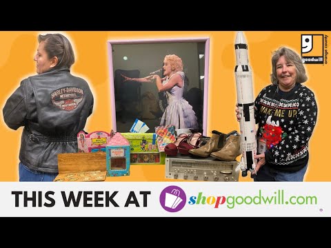 Shop These OC Goodwill Thrift Items Online | Shopgoodwill.com