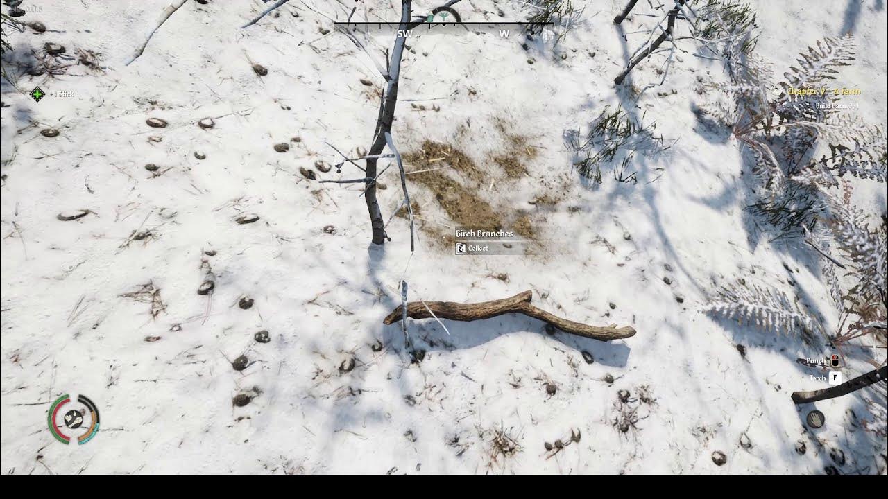 Medieval Dynasty Tutorial/Let's Play Episode 14 Farming