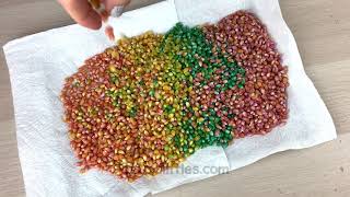 Famous How to dye Corn Kernels for Sensory Play DIY Net Worth