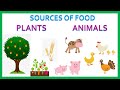 Sources of food plants animals primary kidss