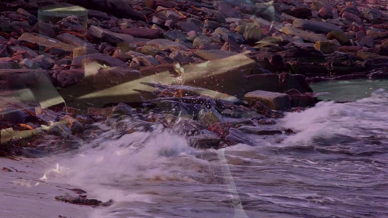 The Rabbit in the Moon - Meriel Lland