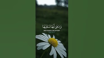 تلاوة عطرة من سورة الإسراء بصوت القارئ عبد الباسط عبد الصمد #quran #قرآن #تلاوة_خاشعة #اذكروا_الله