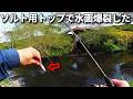 【チャビング】2026年初チャビングで想定外の魚が爆釣!ソルト用トップで水面爆発!この釣り面白すぎる