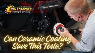 This Tesla Model 3 Needed Serious Paint Correction and Ceramic Coating