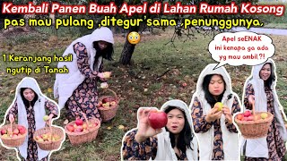 MAU NANGIS‼️DITEGUR PENUNGGUNYA PANEN BUAH APEL di LAHAN RUMAH KOSONG, MALAH DAPAT BONUS