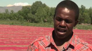 Zambian and Zimbabwean Farmers Training on Organic Methods